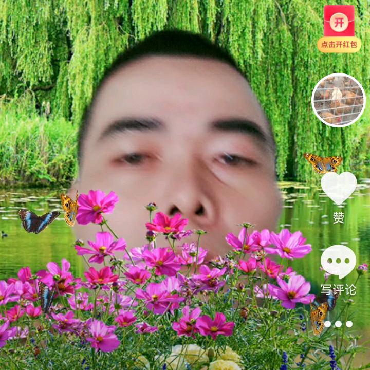 旺哥哥👍的故事