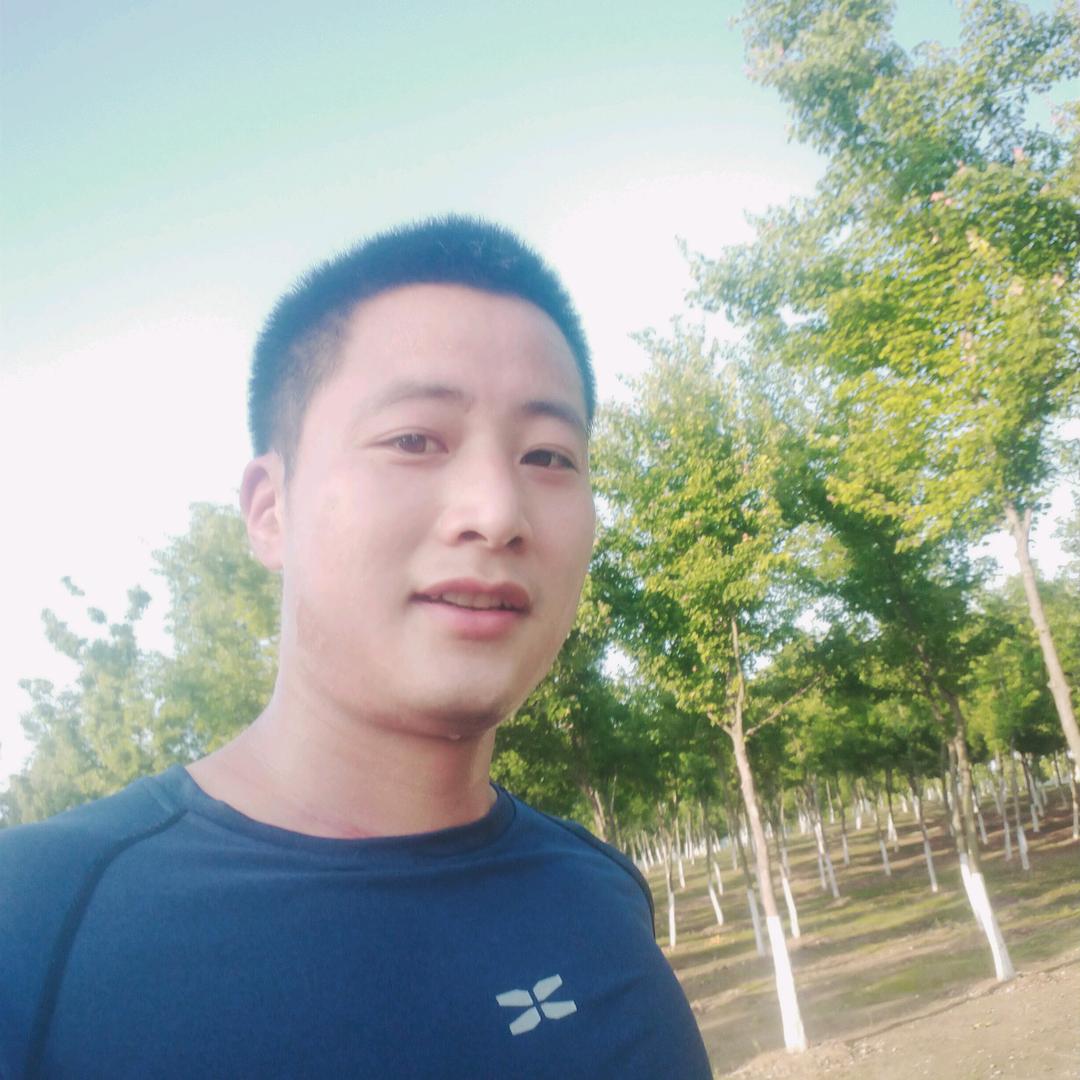 台铃，跑步凡特