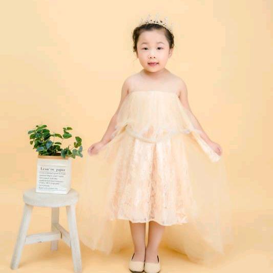 Mrs李
