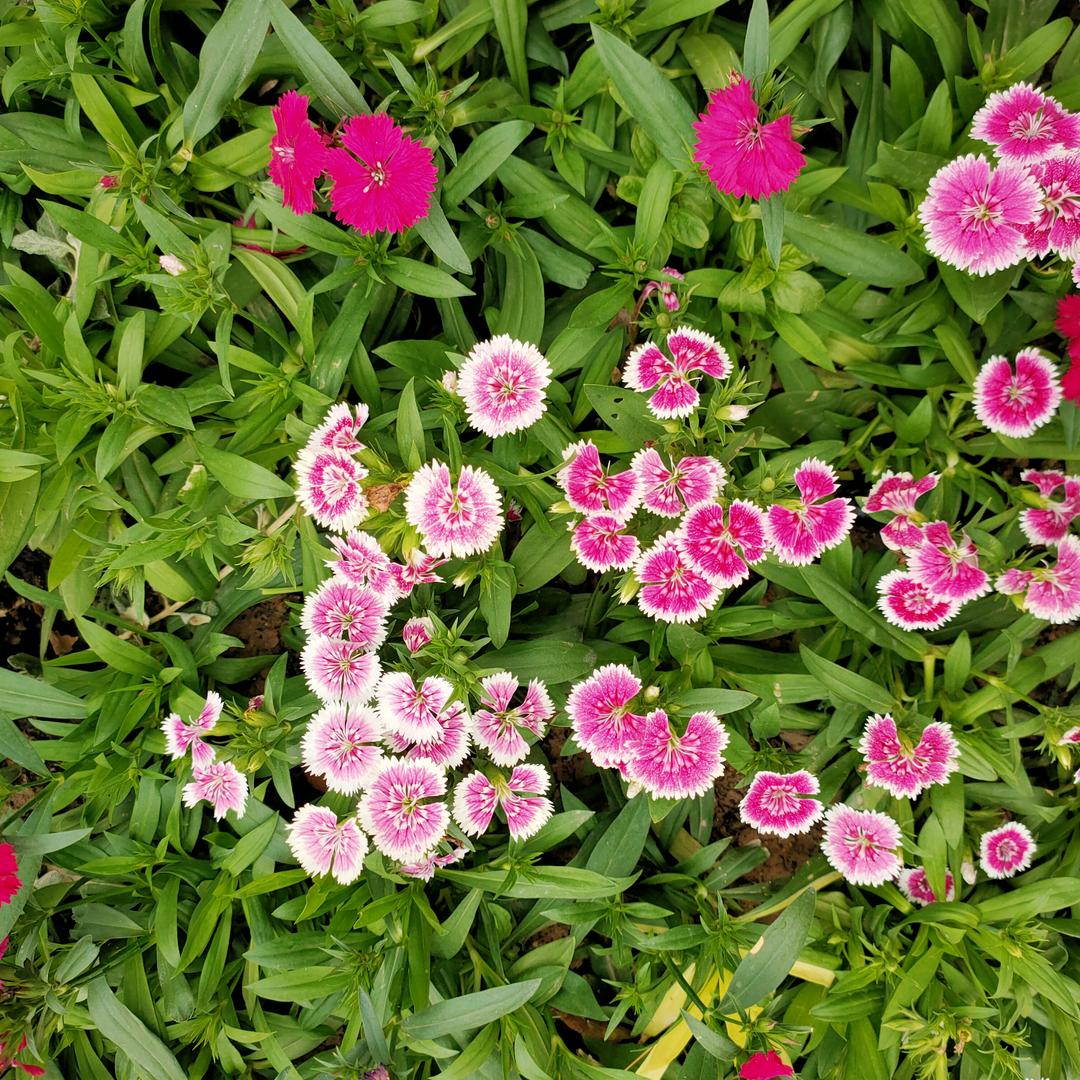 蓝天白云大太阳