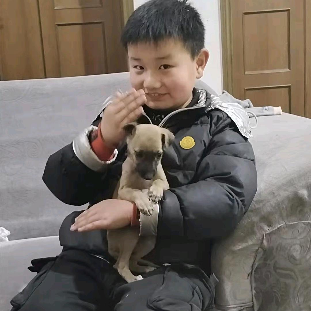 快乐宝贝CY