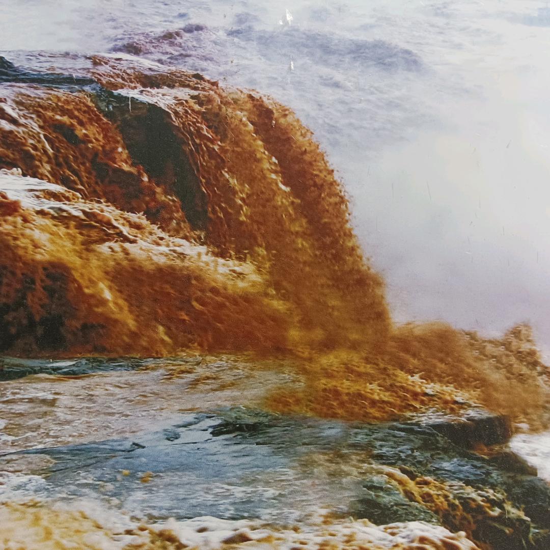 双汇冷鲜肉（金瀑小区店）