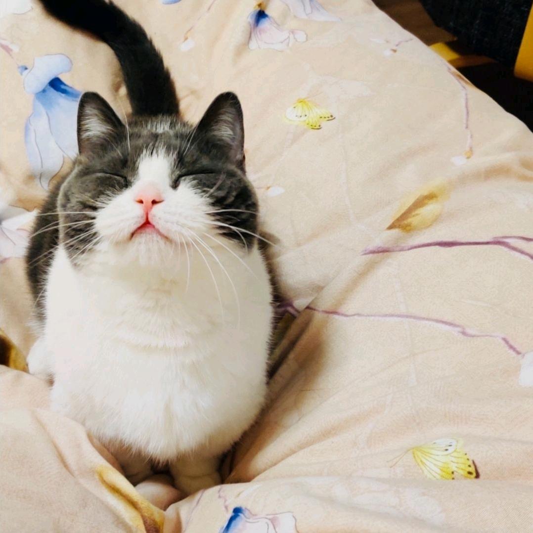 🌈*小可爱～
