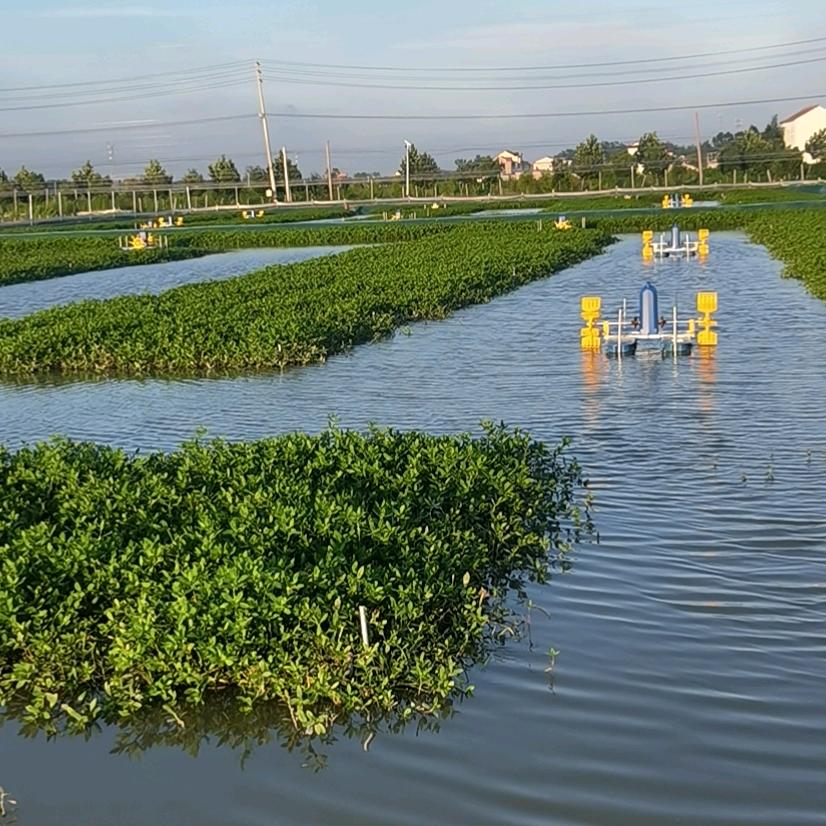 灌南新鑫水产宋成伍