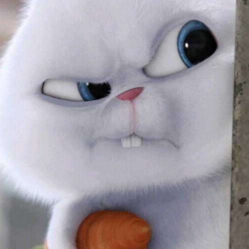 奋斗吧，小青年