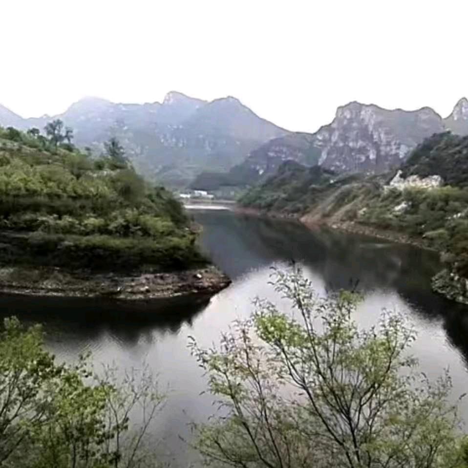 張猛