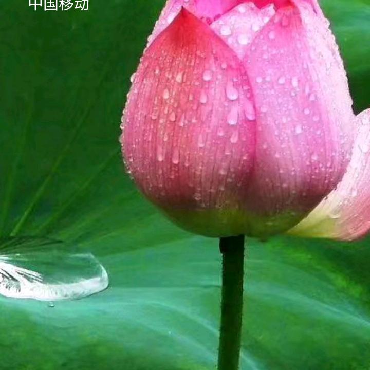 喜事连连