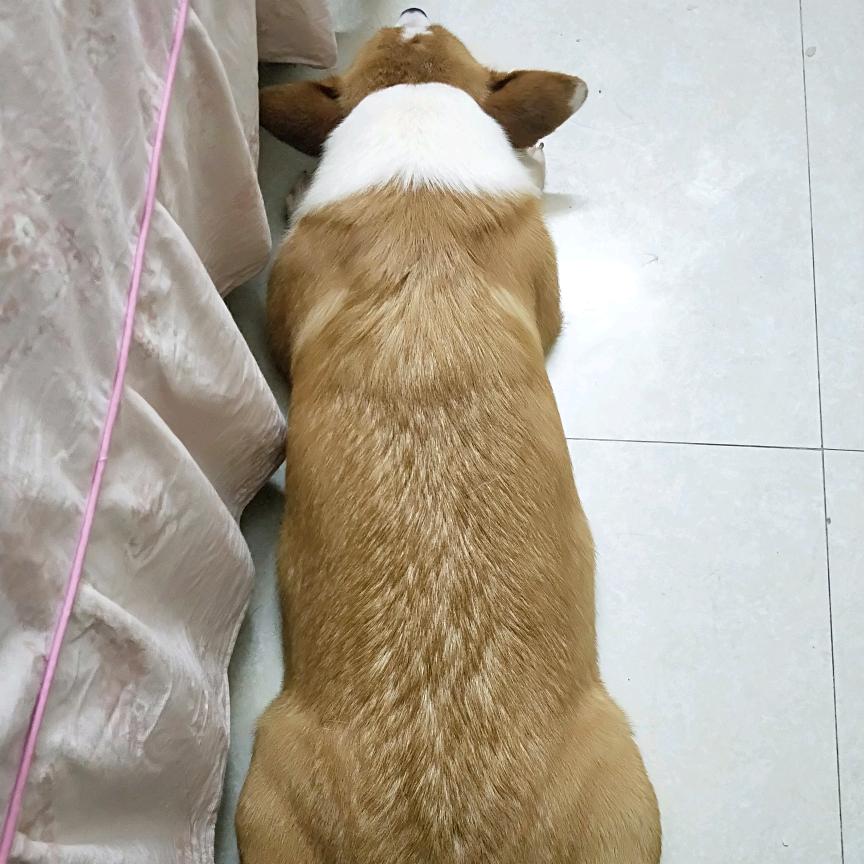 你负责演（我负责看）