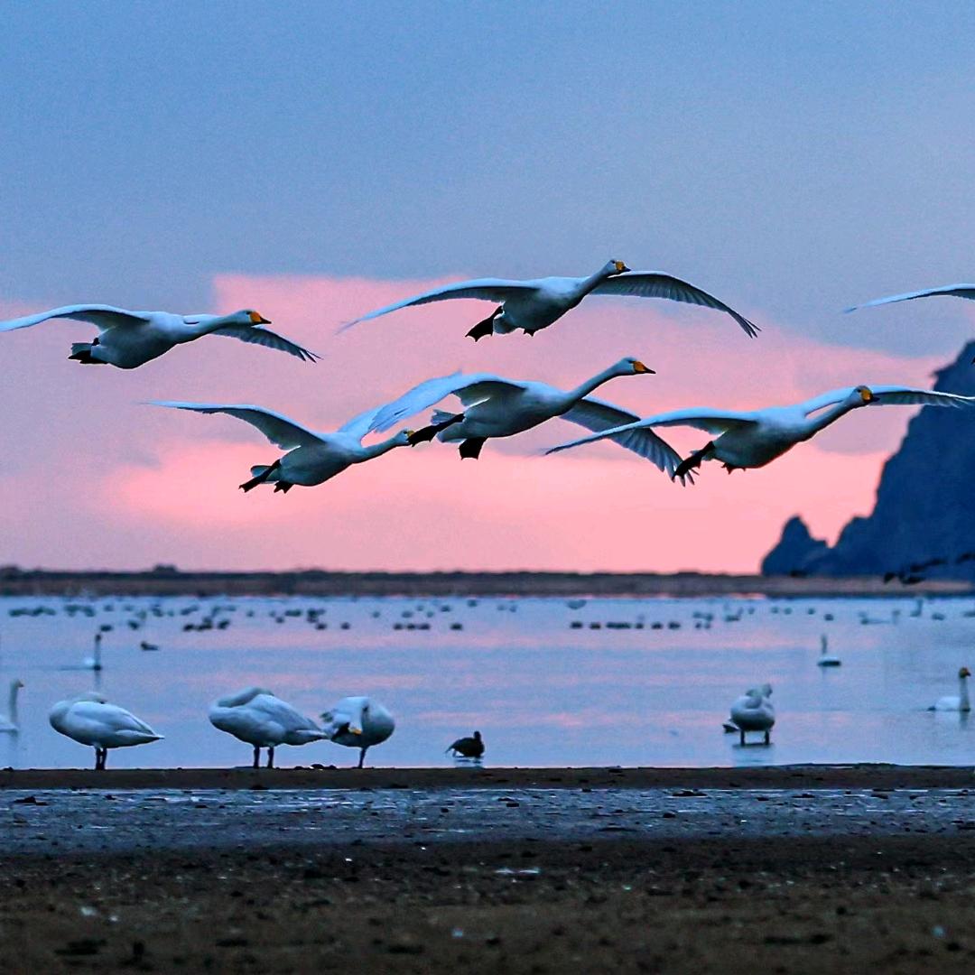 旅居达人—老张