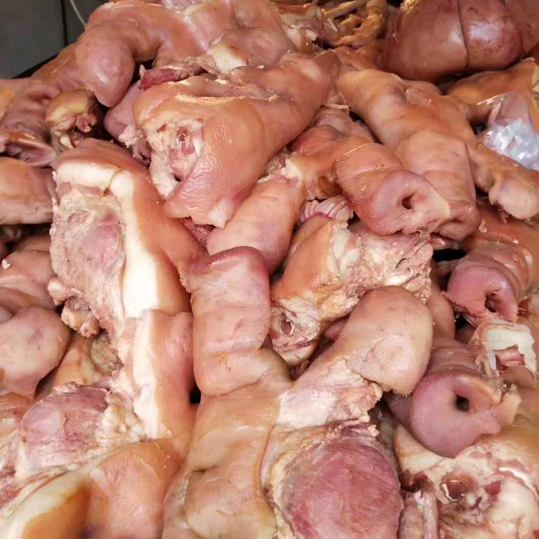 猪头哥(收学员)