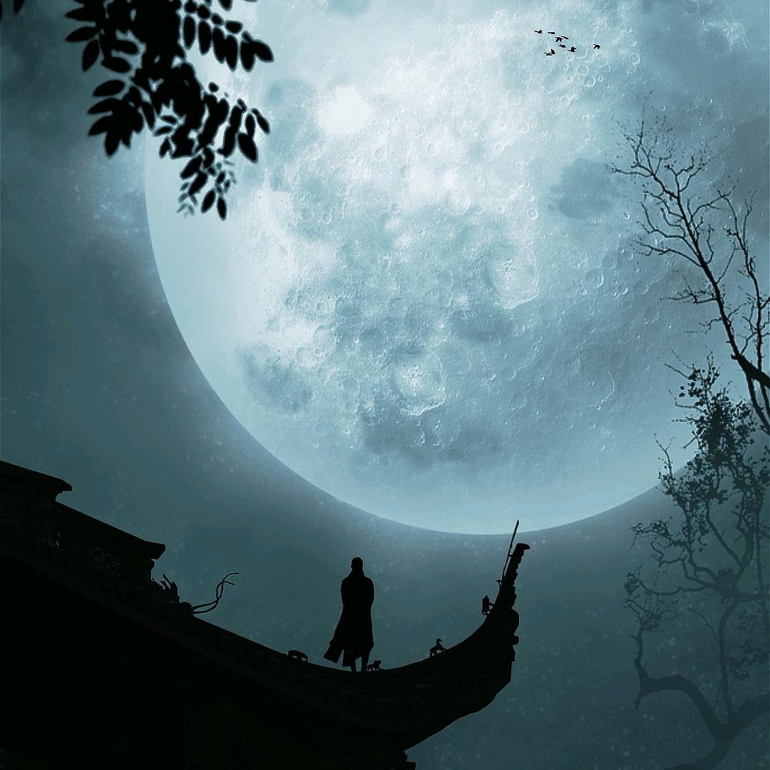 昨夜有风