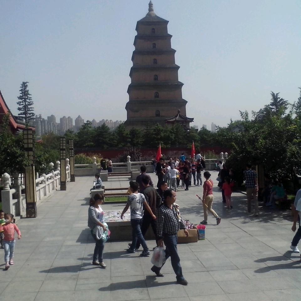 YANG老师