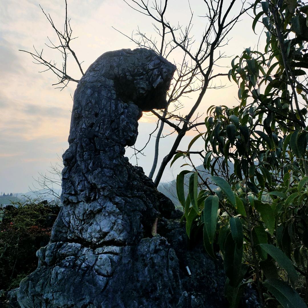 贵州省宁谷镇张华山WD187227210