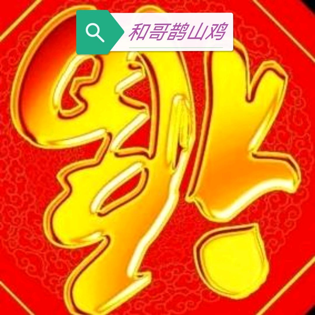 和哥（鹊山鸡种鸡）