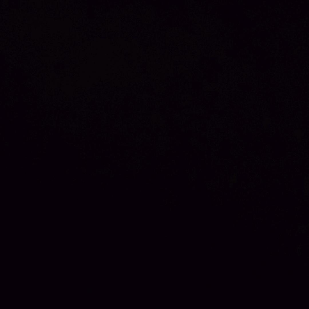 ♬无悔这一生♬