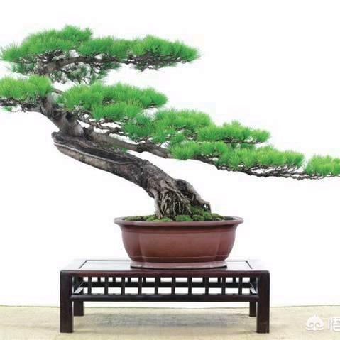 佳豪装饰