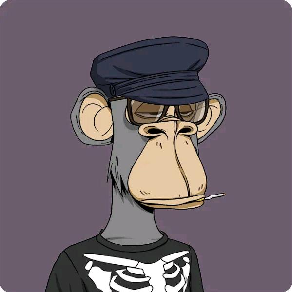 鱼会计(户外搞鱼)