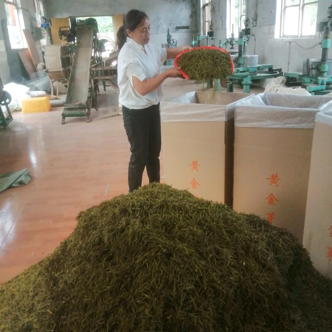 绿森谊源茶业
