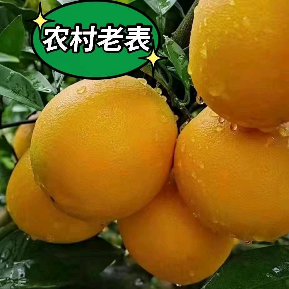 江西省农村老俵农业发展有限公司