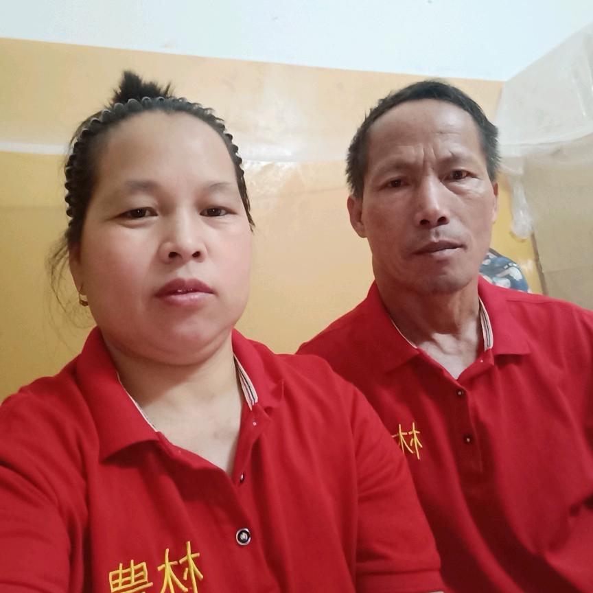 明天回来看看
