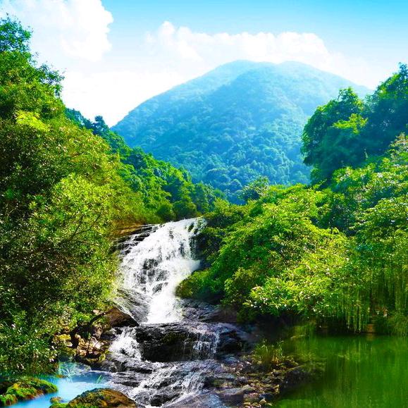 腊月的猪肖元元