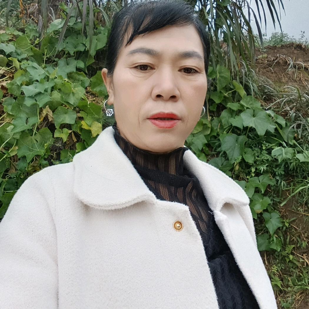 落叶