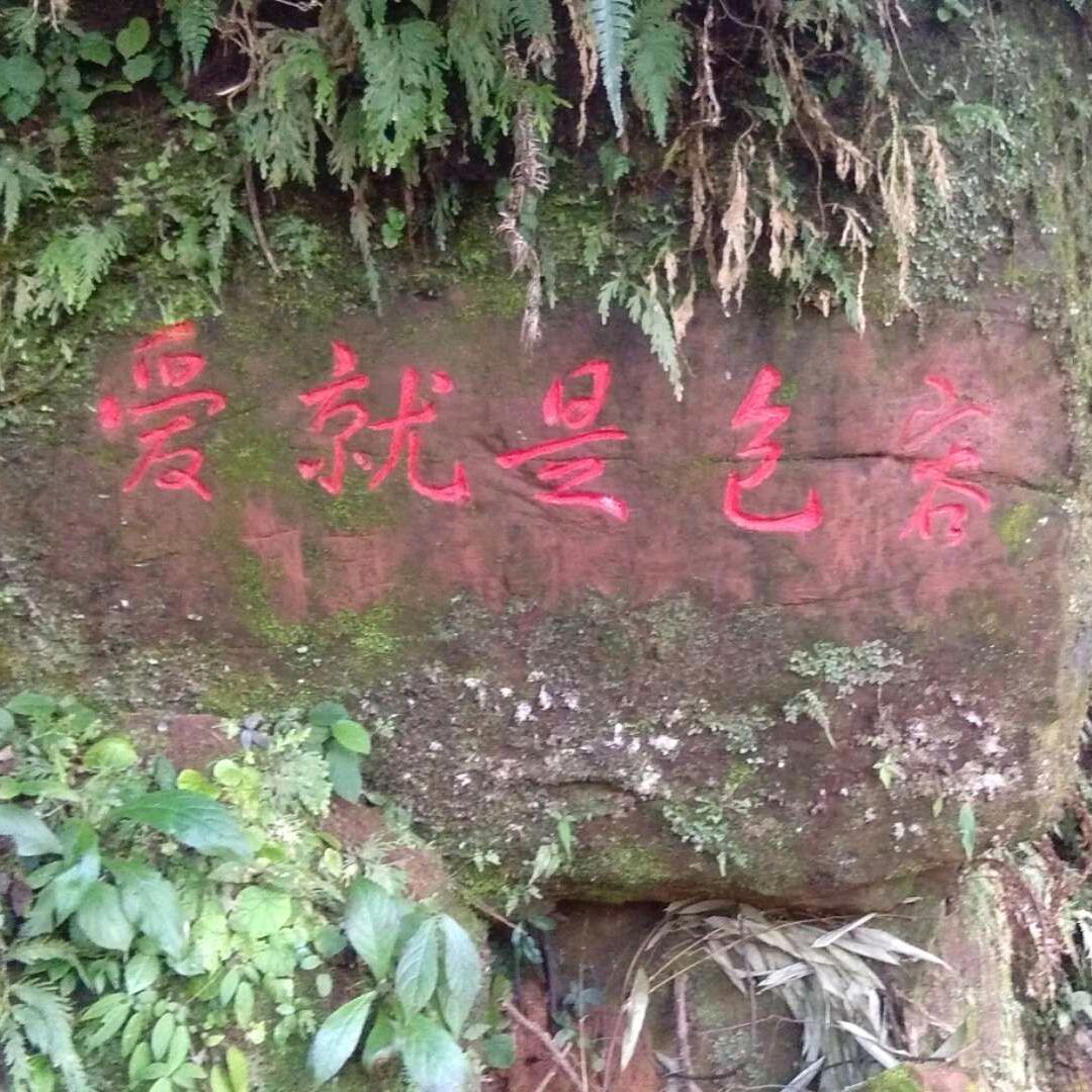 余生都是你