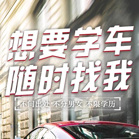 锦小鲤