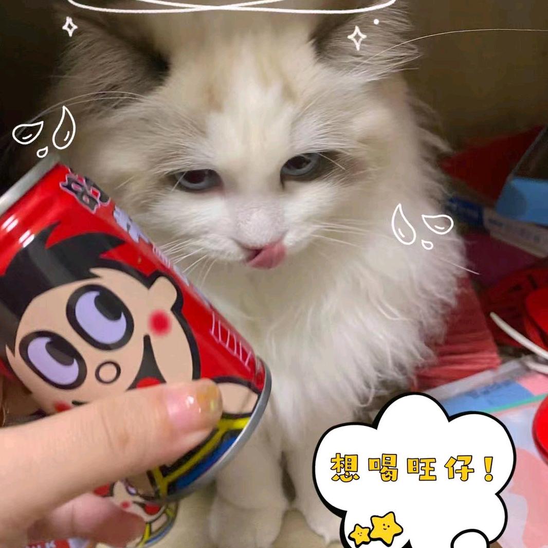 王•小悠米