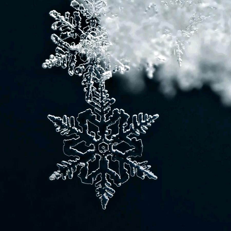 效果图动画-尚美视觉