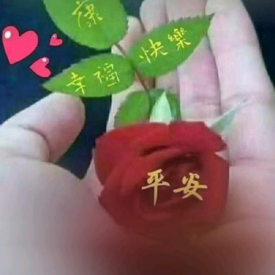 妮