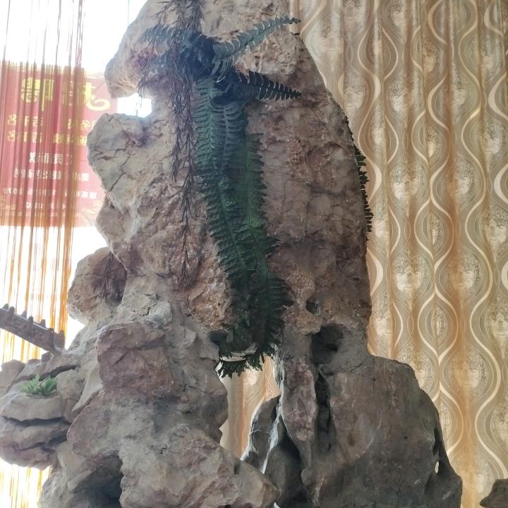 ...。。。。。。