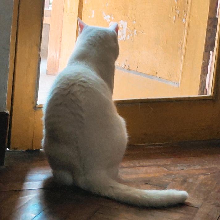 小鱼麻麻的日常