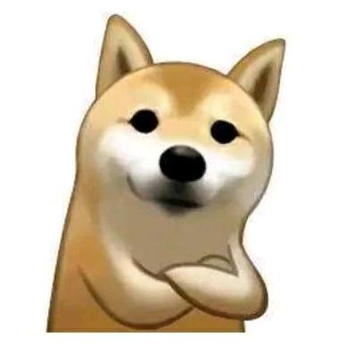赵不服