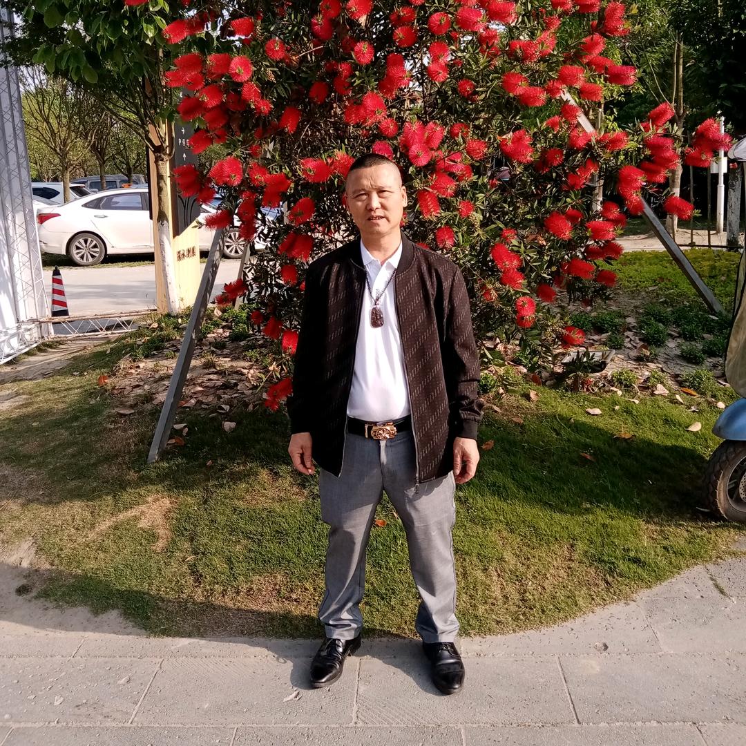 自游飞翔