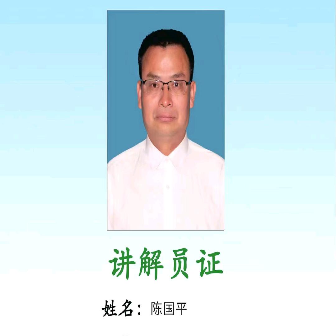 陈国平