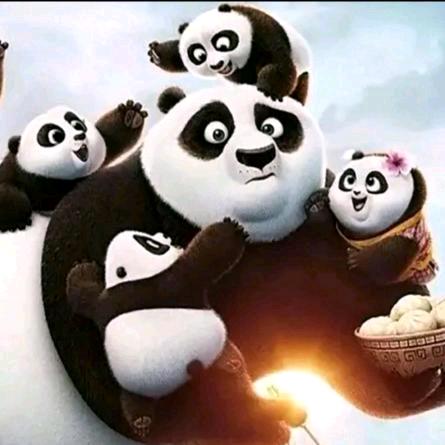 熊猫大叔🐼