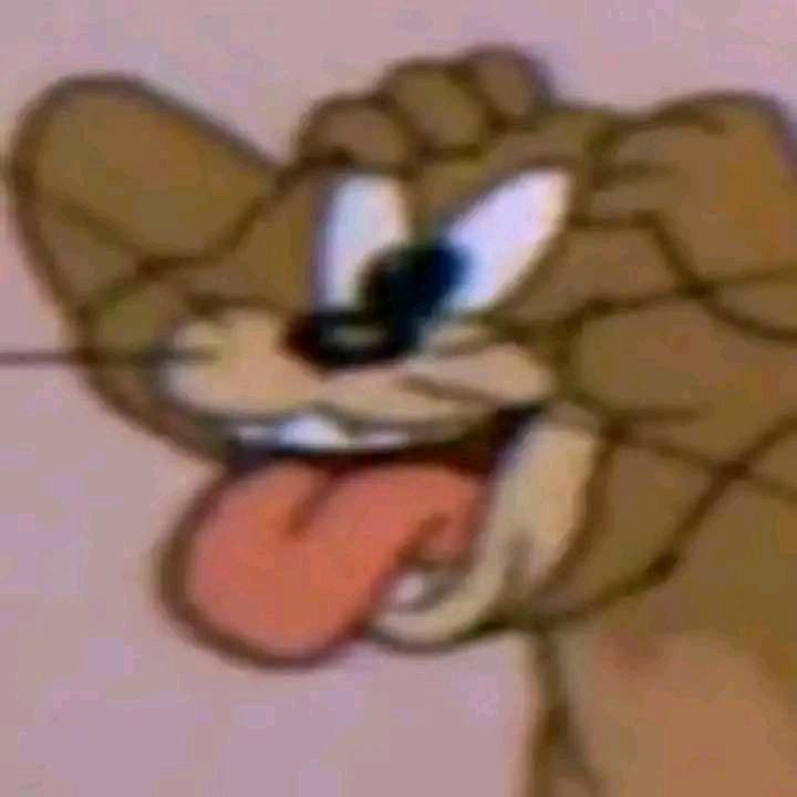 oineko