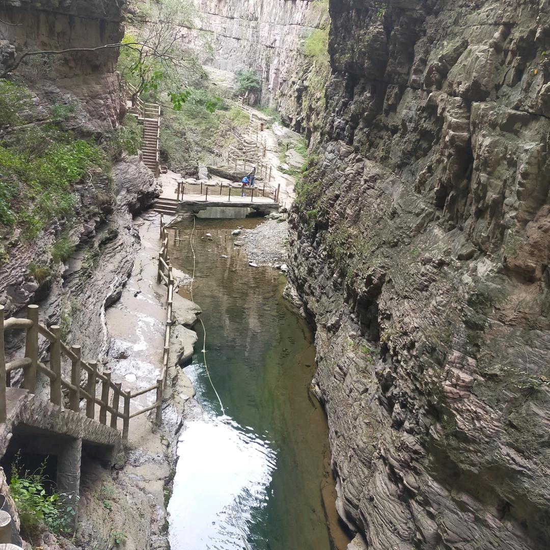 王岚