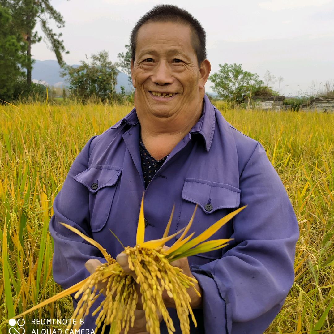 父亲平安（直播中）@抖音