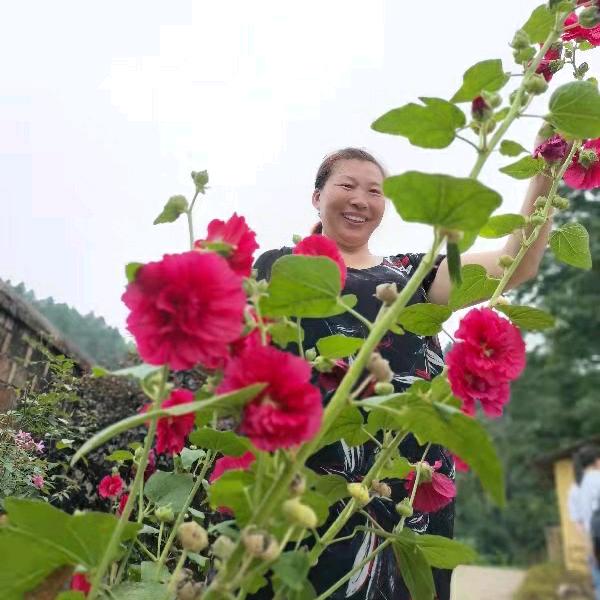 欧妹子