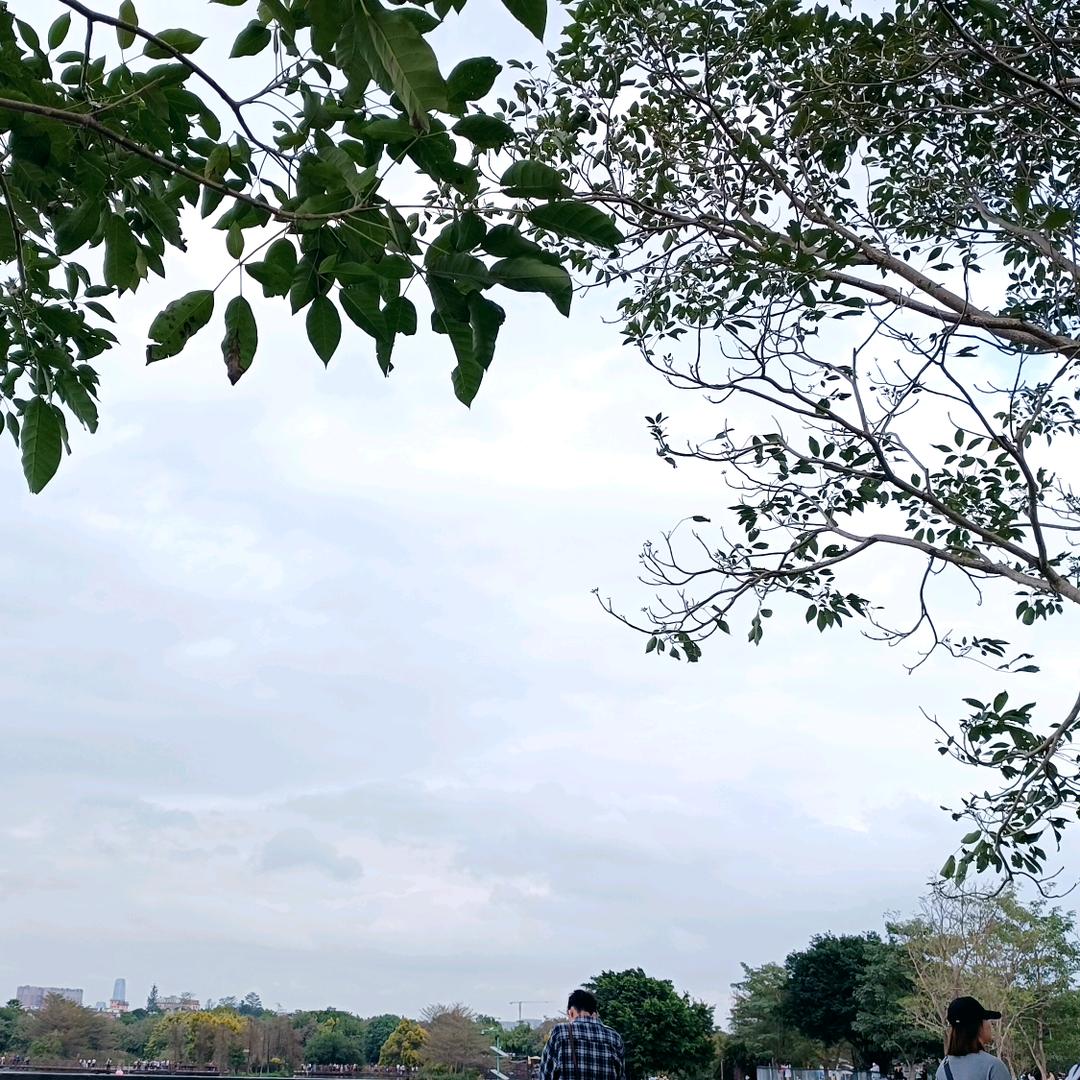 闲人八卦