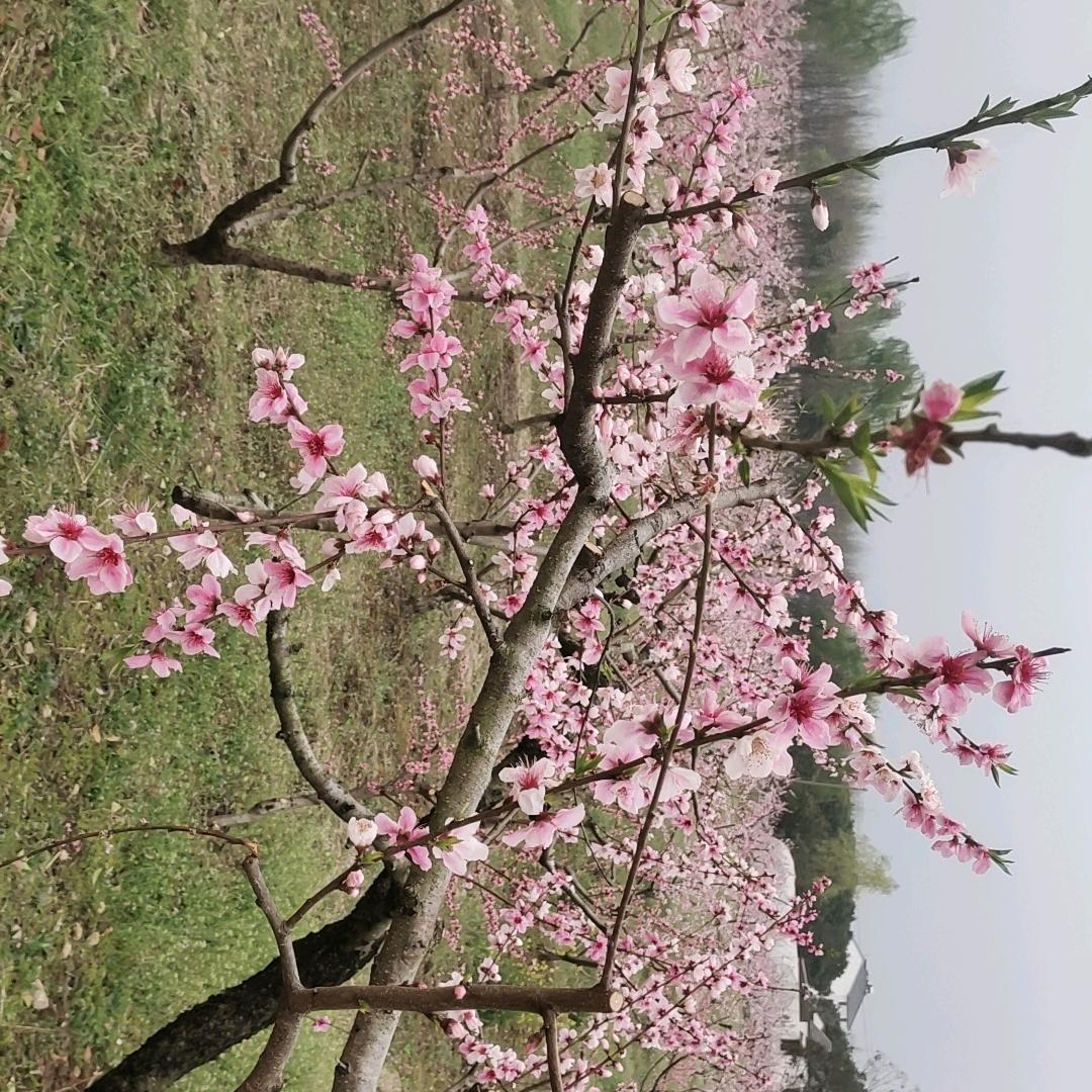 走自己的路，做最好的自己！