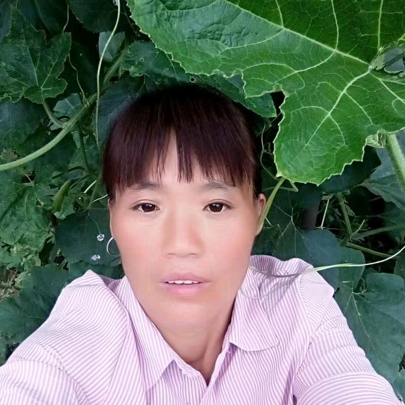 朋友多了路好走