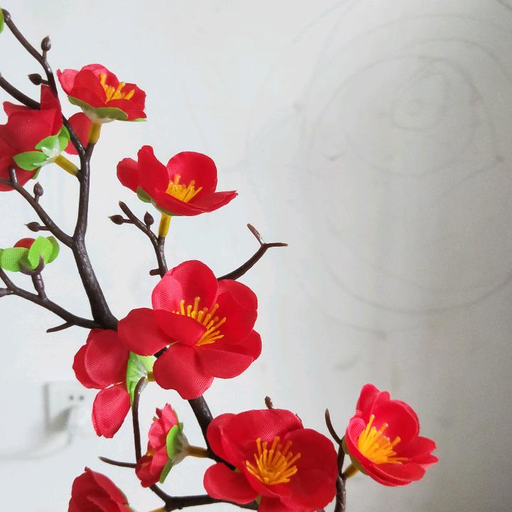 62年虎汪九美，谢谢关注！