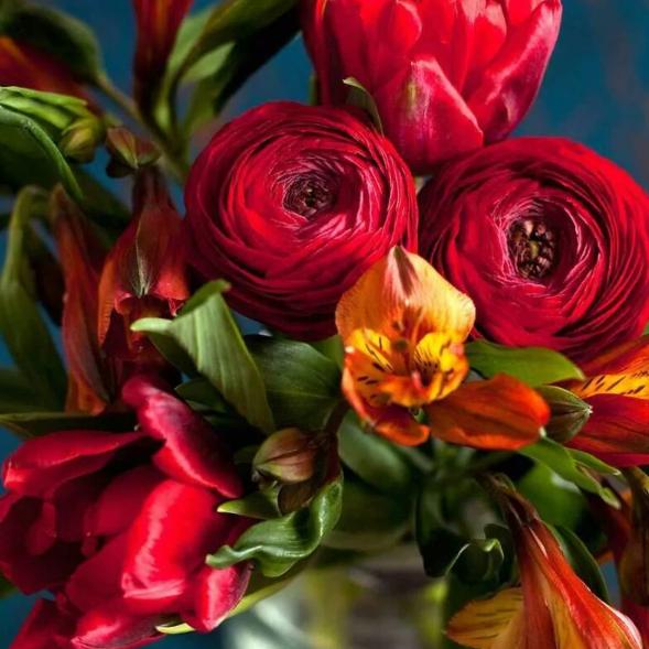 花开富贵 -小柠萌奶奶