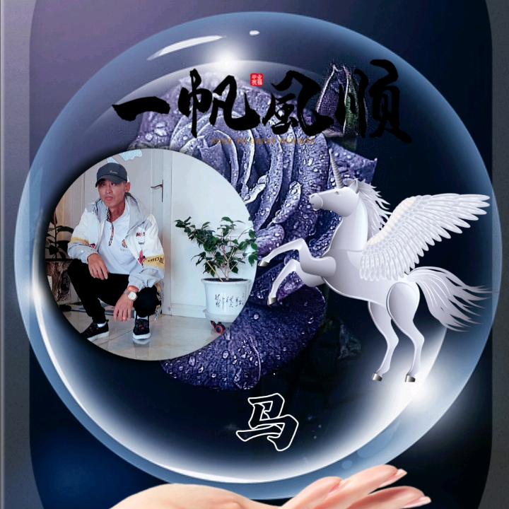 🌹❤️🌹单身的人🌹❤️🌹