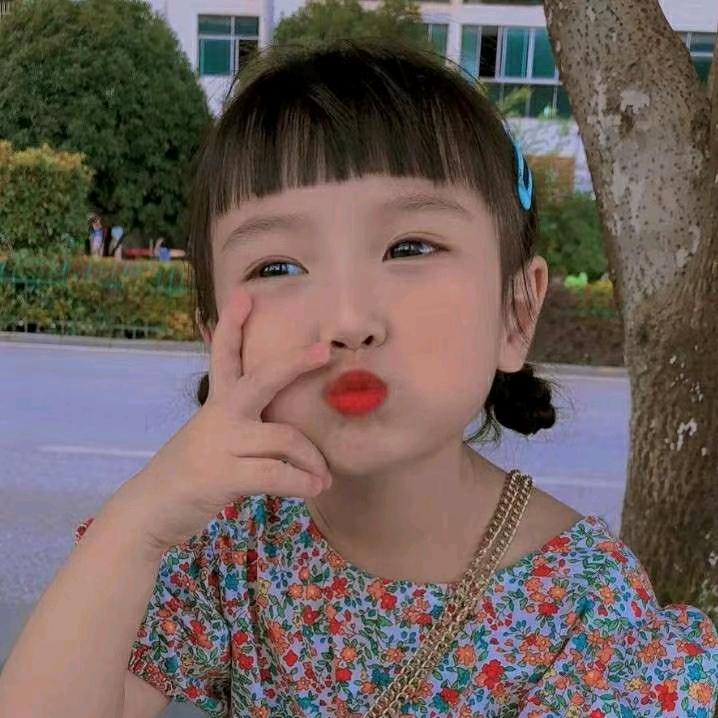 董礼貌❣