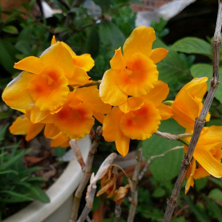 爱你不是两三天