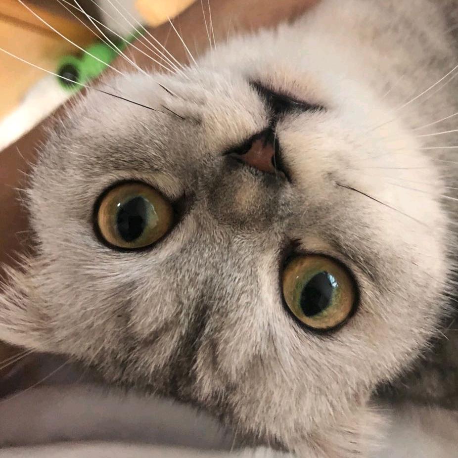 忆梦